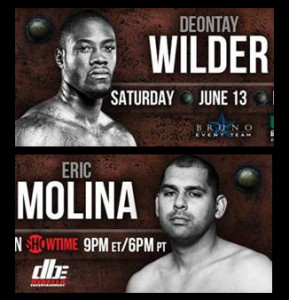 deontay_wilder_vs_eric_molina