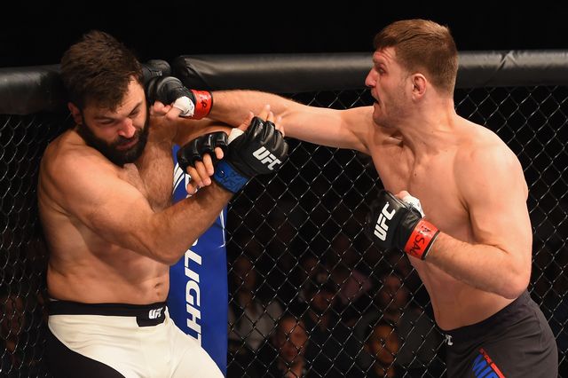 UFC 195: Miocic v Arlovski