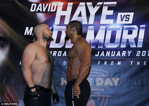 haye-de-mori 1