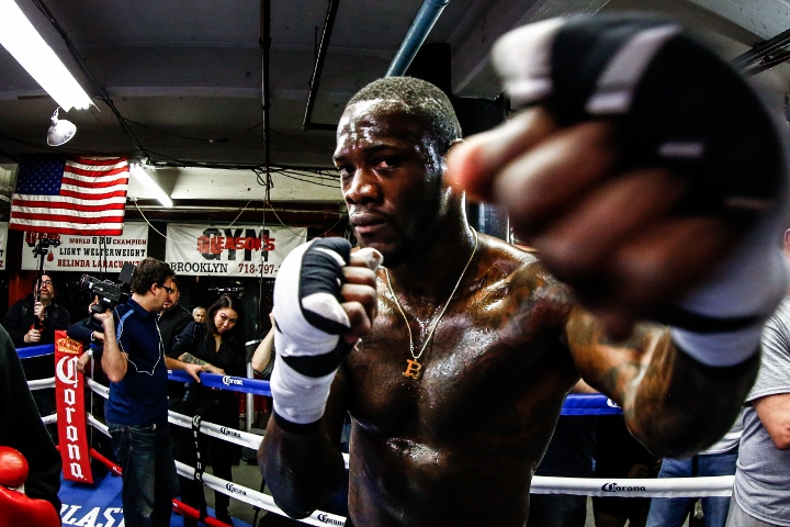 wilder3
