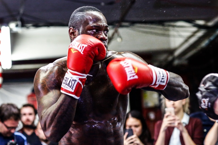 wilder8