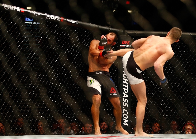 UFC Fight Night Las Vegas: Hendricks vs Thompson