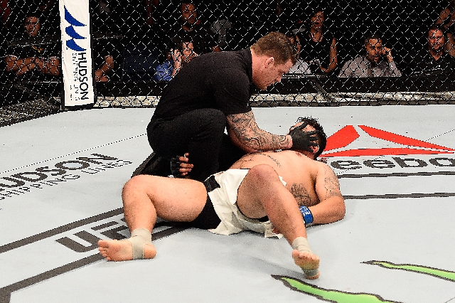 UFC Fight Night: Hunt v Mir
