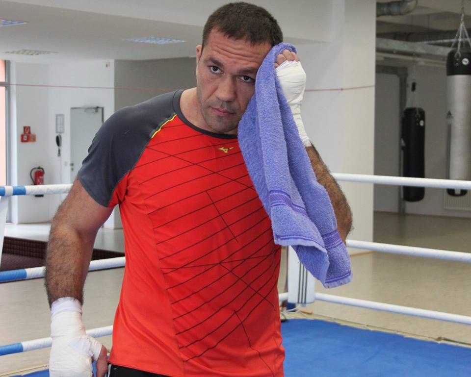 pulev8
