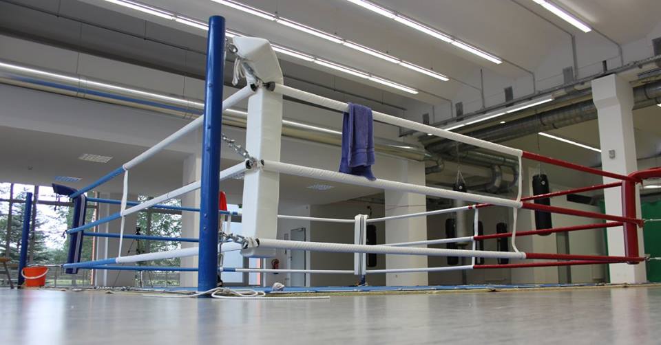 pulev9