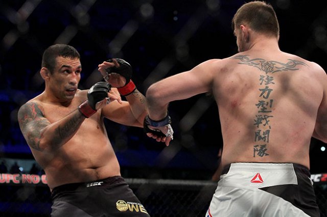 stipe