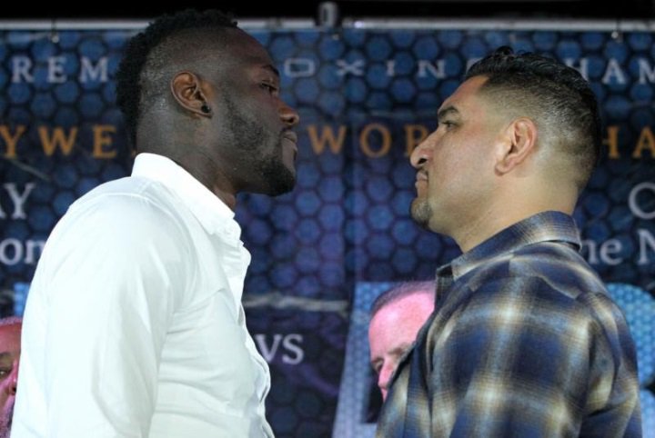 wilder-arreola 1