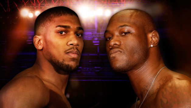 david-haye-628x356