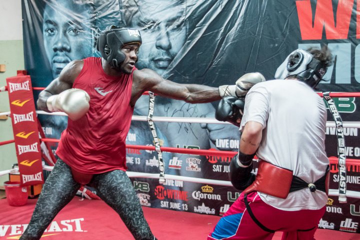 deontay-wilder 1