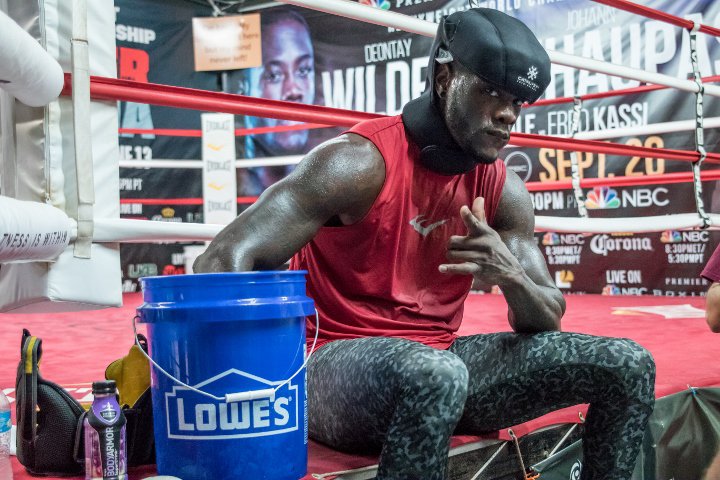 deontay-wilder 3