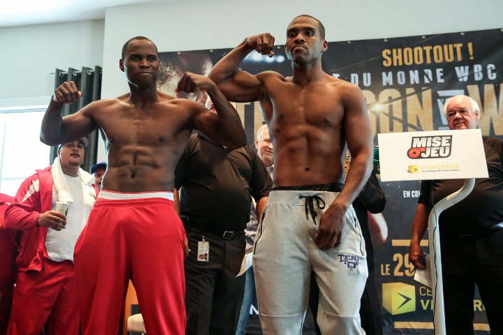 stevenson-williams 1