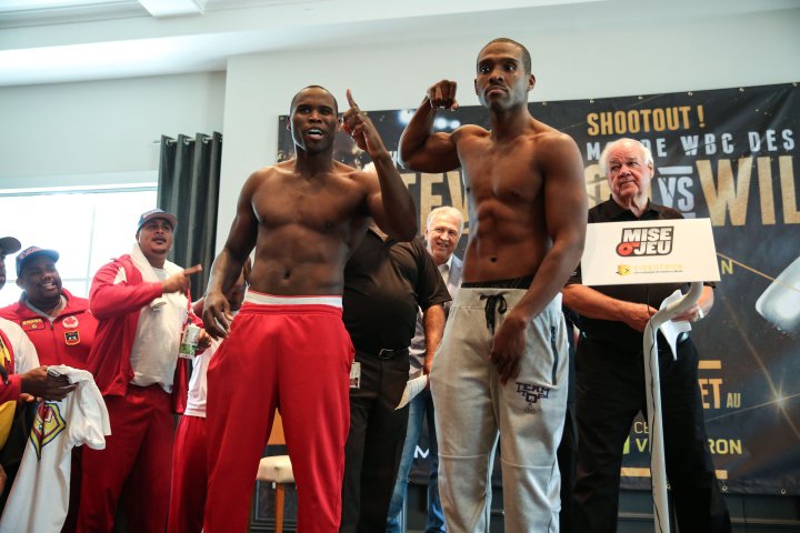 stevenson-williams 3
