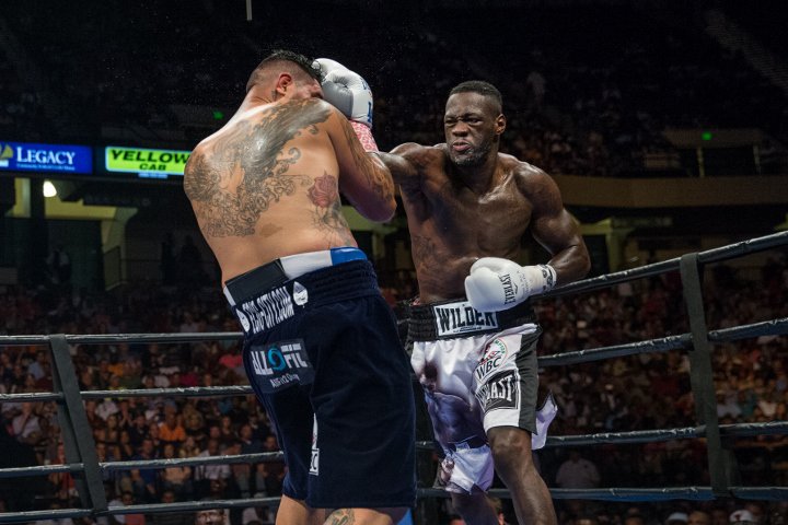 wilder-arreola-figh9