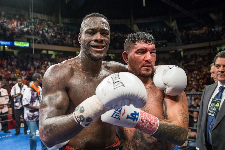 wilder-arreola-fight 17