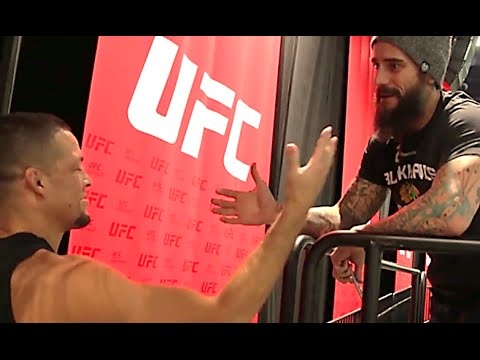 cm punk