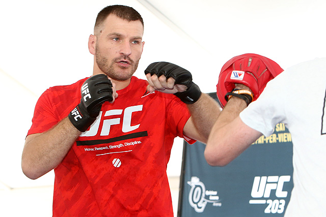 stipe