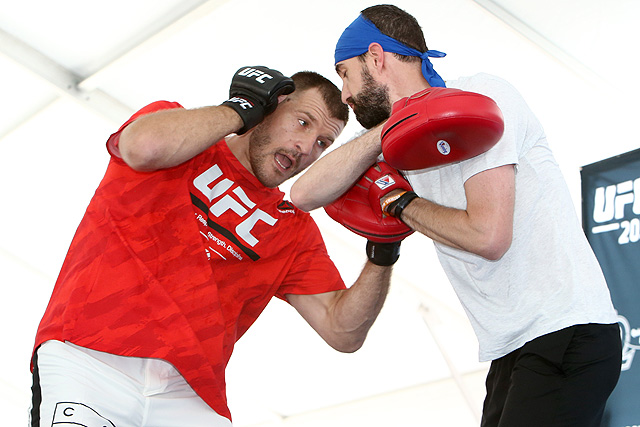 stipe1