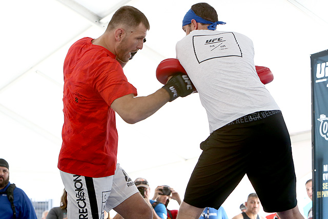stipe2