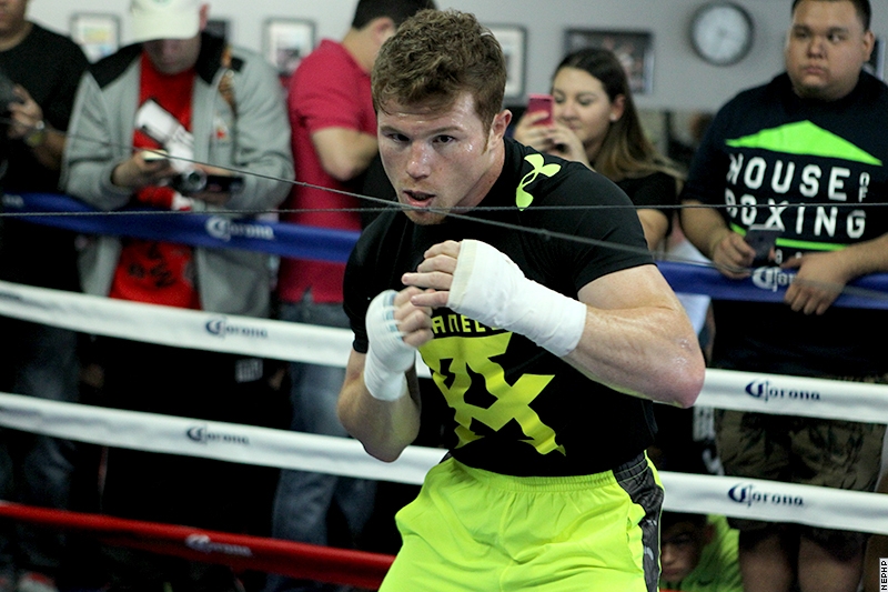 canelo alvarez (9)